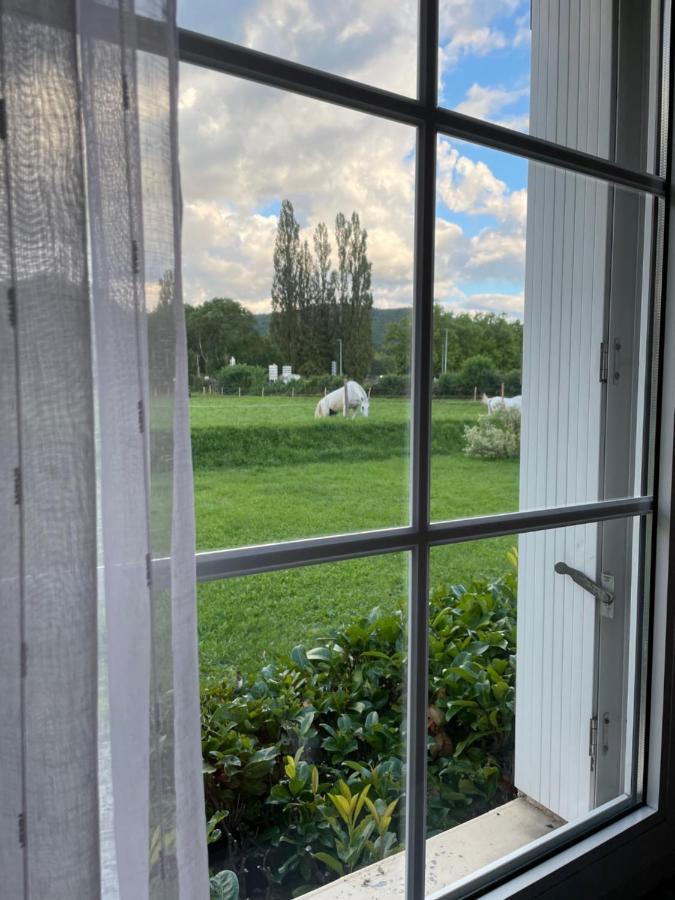 Hotel Saint Odilon Cluny Eksteriør billede